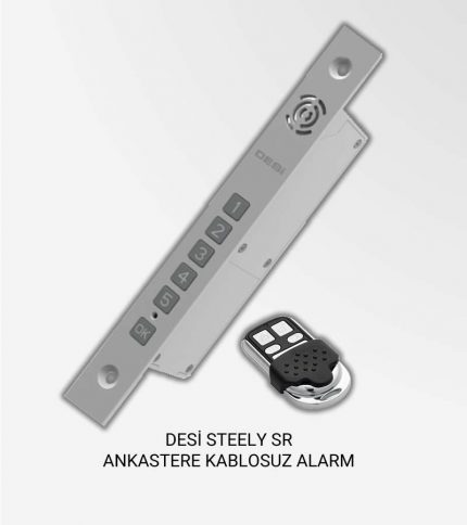 Desi Steely Alarm